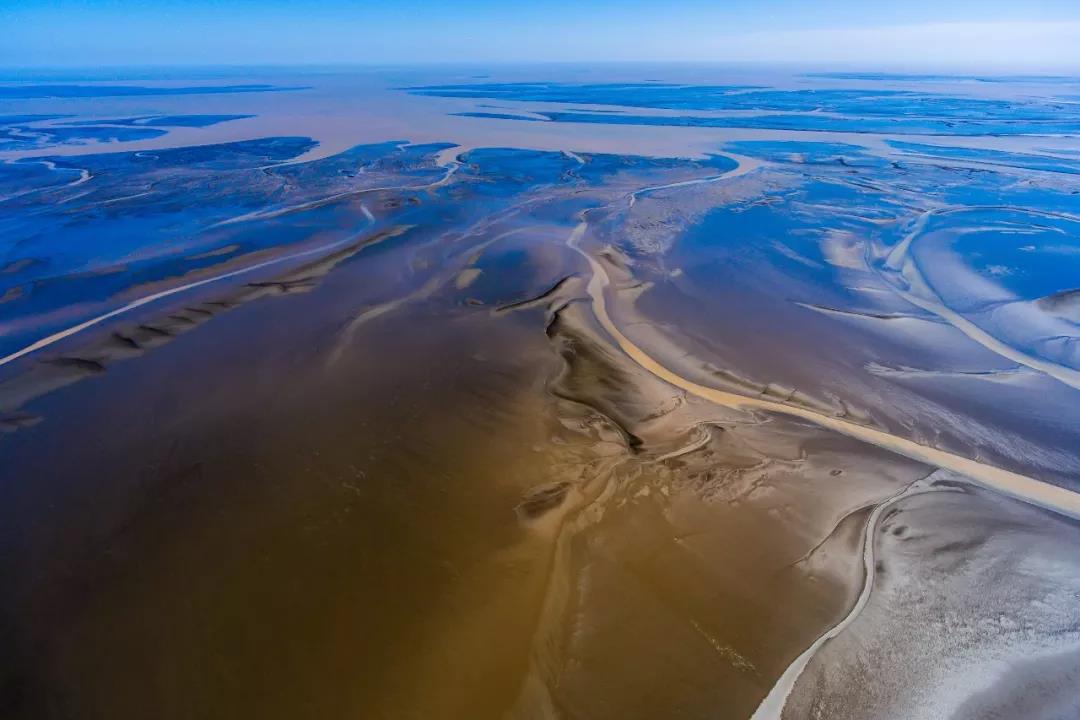 盐城黄海湿地——世界自然遗产生态修复的“中国样本”