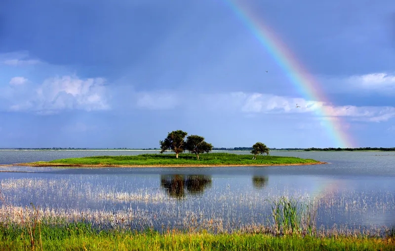 联合国大会确定2月2日为世界湿地日