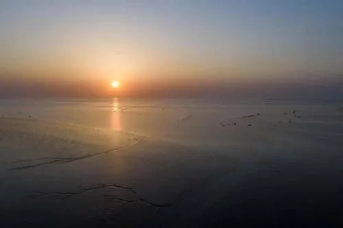 盐城黄海湿地！摄影家如此流连忘返