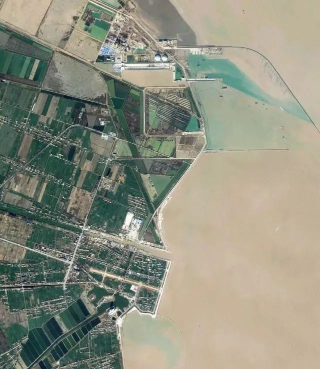千年生态遗产 | 黄河、长江共同孕育的盐城黄海湿地