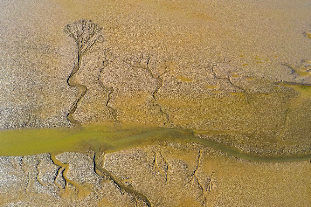 领略湿地之美 || 盐城黄海湿地国际摄影大赛获奖作品赏析
