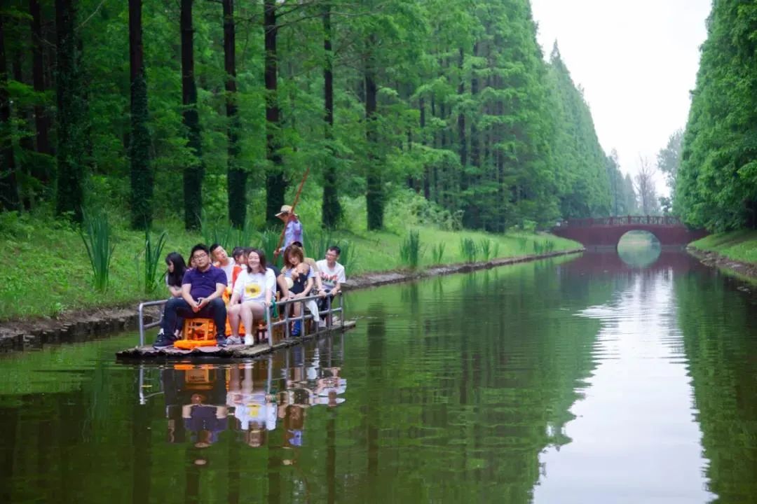 给您推介——盐城黄海湿地专属旅游路线