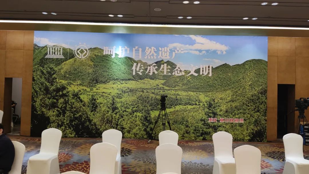 文化与自然遗产日丨一起来感受盐城黄海湿地的独特魅力