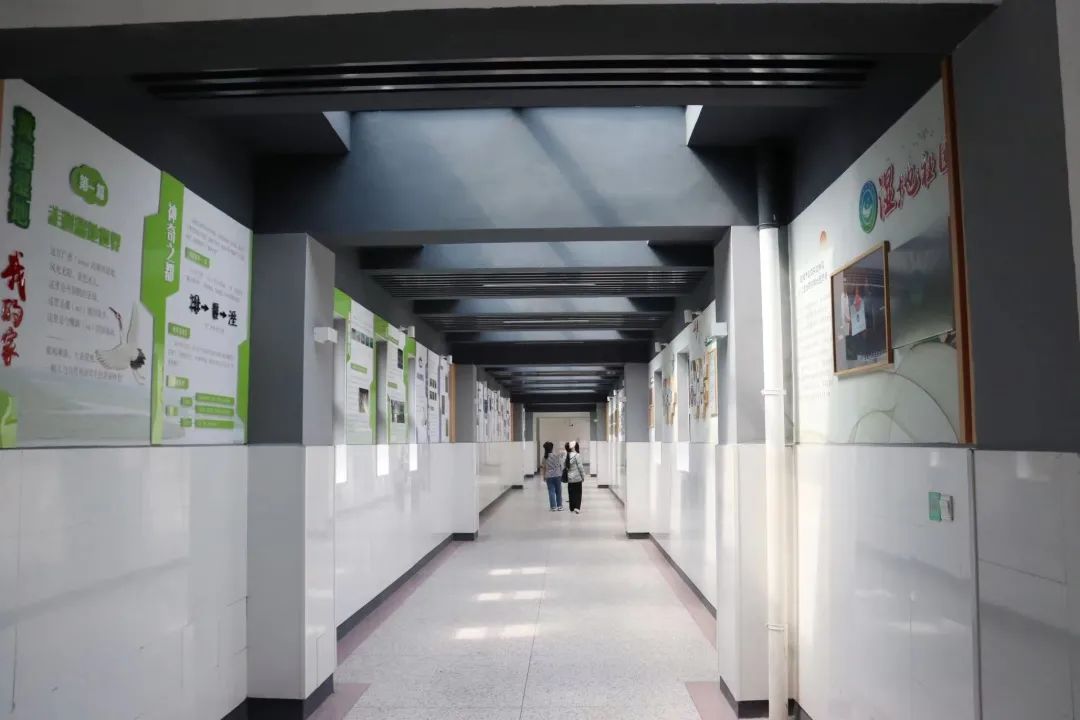 开学      天，看世遗这样进校园……