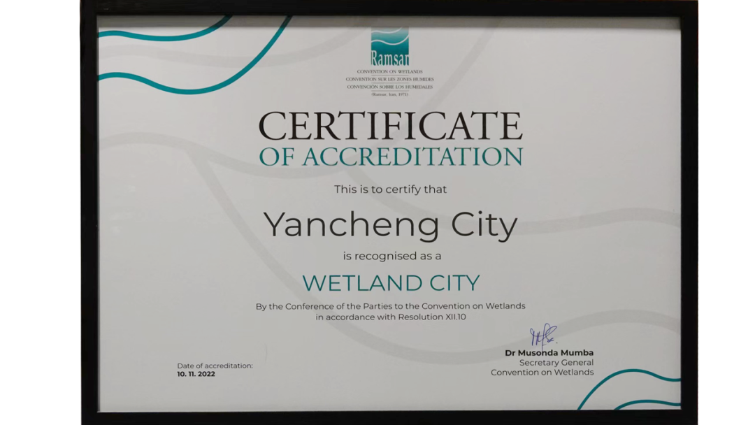 又一块金字招牌！盐城获颁“国际湿地城市”证书