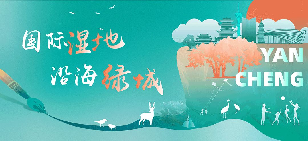 重走申遗科考路线，央视带您探访盐城湿地奇境……