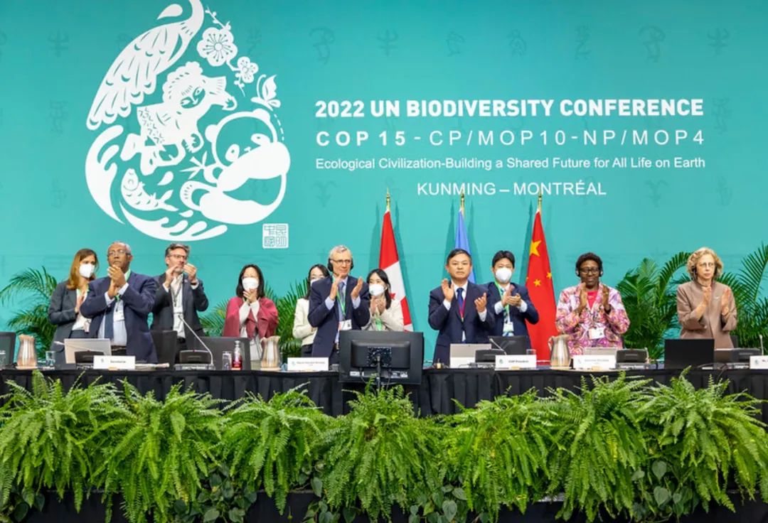 COP15达成保护地球“历史性”协议！