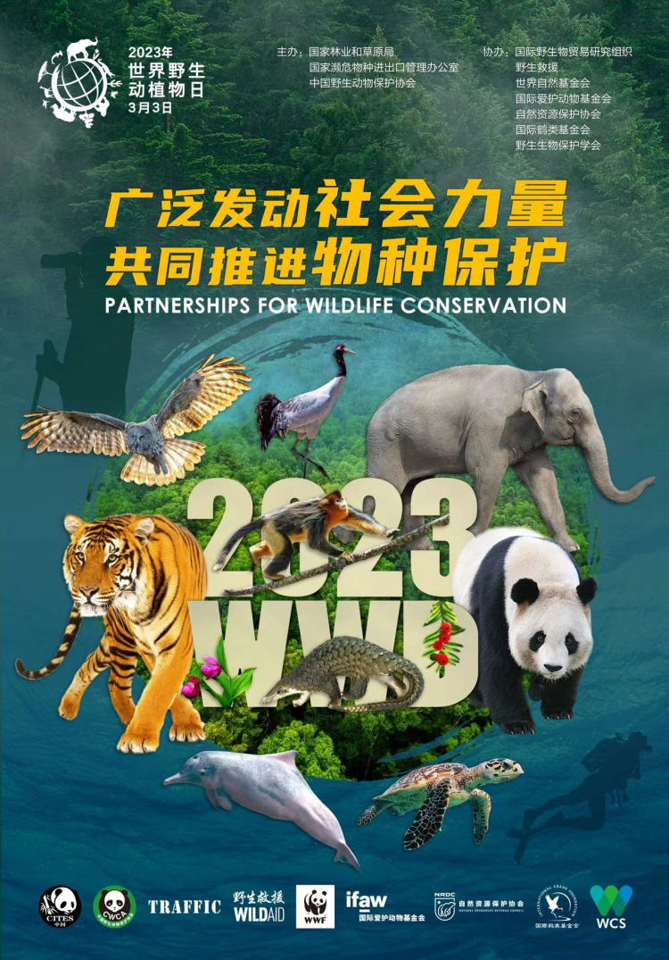 叮！请查收一份野生动植物知识有奖竞答邀请