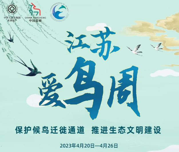 爱鸟周 | 自然“巨”作：来自黄海湿地的“飞鸟”