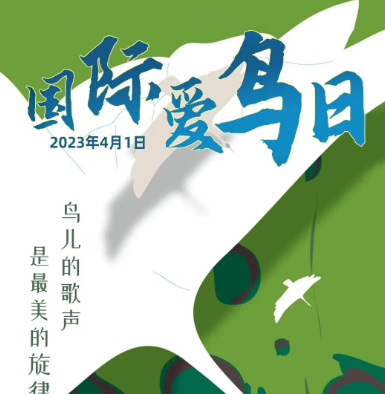国际爱鸟日 | 黄海湿地上这群“小精灵”想跟你交个朋友，快来“鸟”解吧！