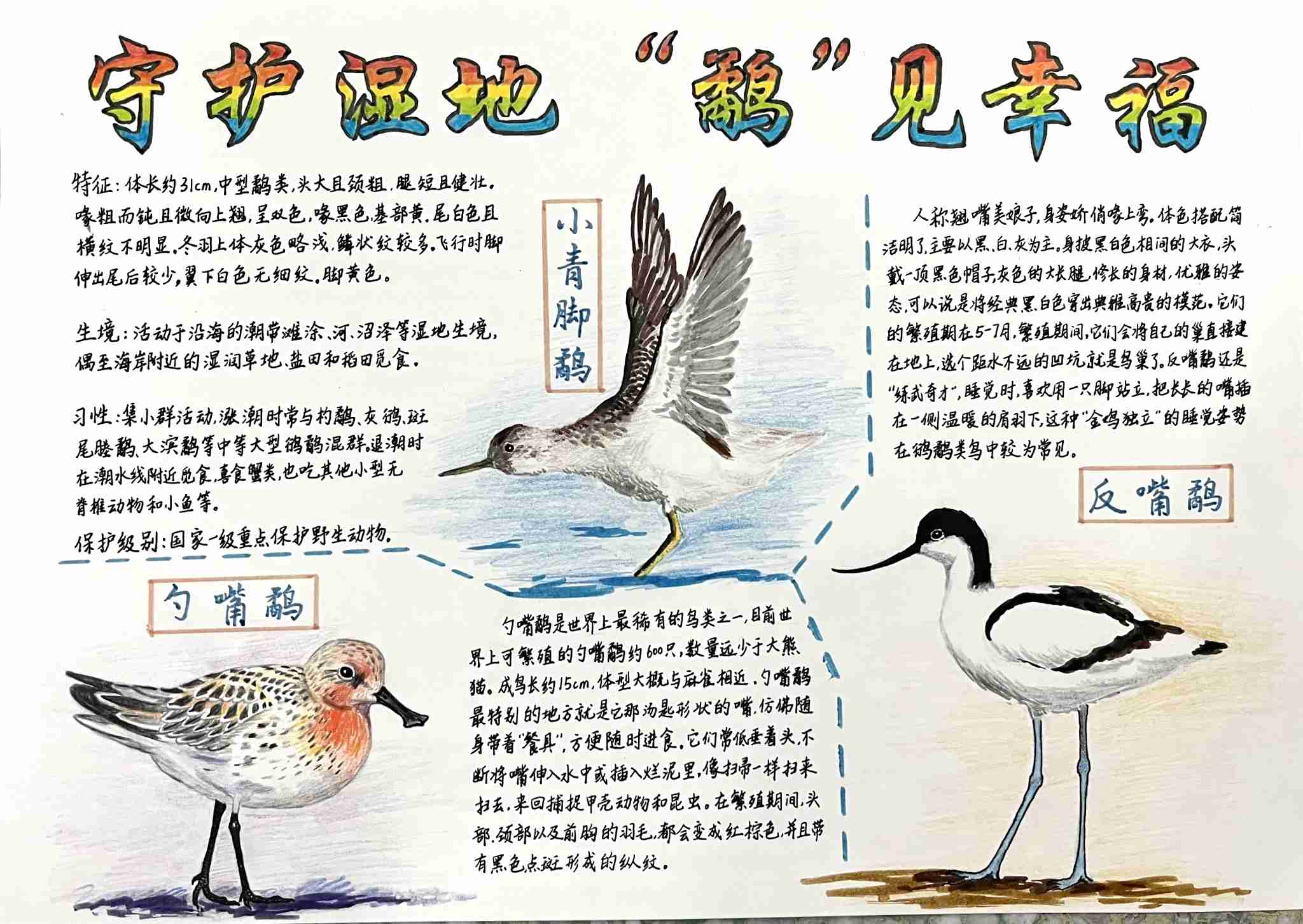 《保护湿地，“鹬”见幸福》-吴雨芯-康居路初级中学
