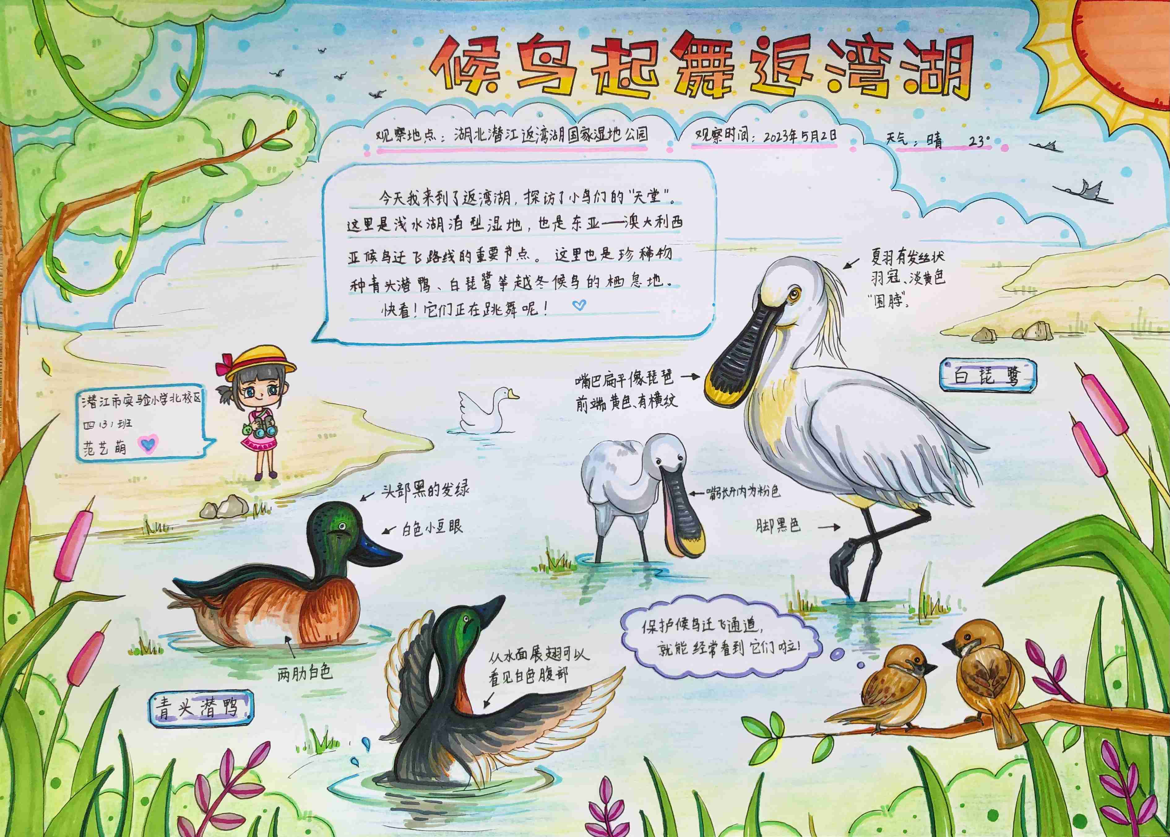 《候鸟起舞返湾湖》-范艺萌-潜江市田家炳实验小学