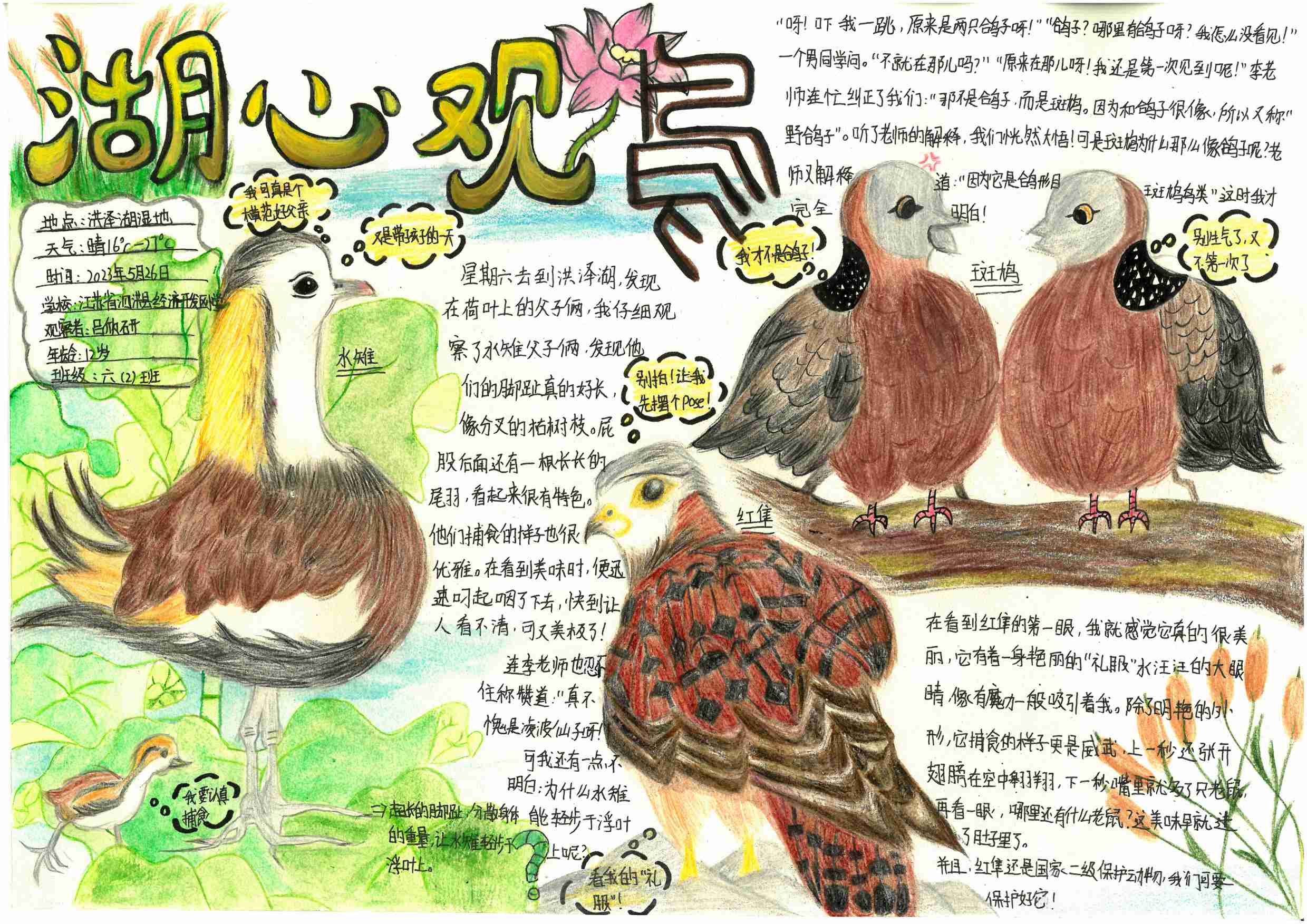 《湖心观鸟》-吕欣研-江苏泗洪洪泽湖湿地         自然保护区