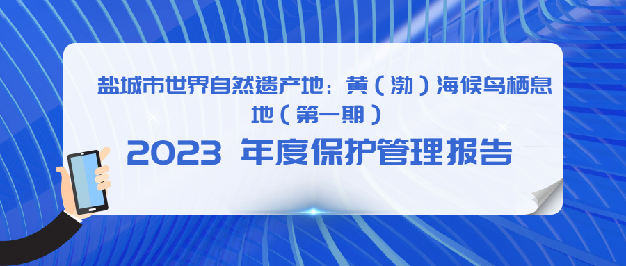   盐城市      自然遗产地：黄（渤）海候鸟栖息地  （      期）  2023 年度保护管理报告