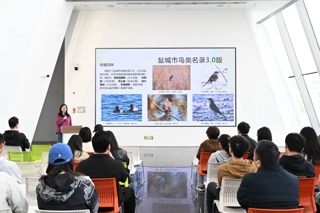爱鸟护鸟，不止一周——盐城以行动书写生态保护新篇章